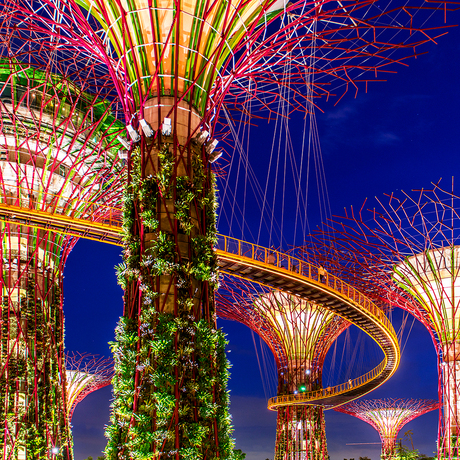 Super Trees in Garden by the Bay, Singapore