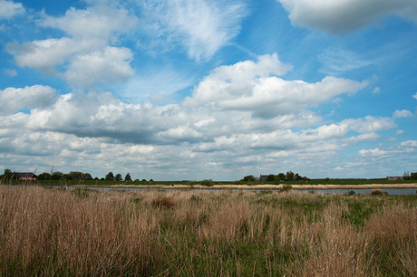 april 2013, zicht op de Tiendgorzen.