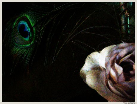 Kunstroos en pauwenveer