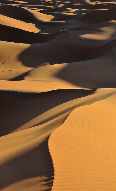 zonsopgang Erg Chebbi, Marokko