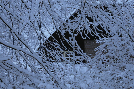 huis tussen besneeuwde bomen