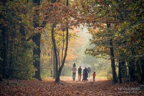 Autumn love.