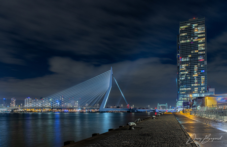 Erasmusbrug en de Rotterdam