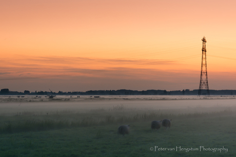 Genieten van het avondlicht