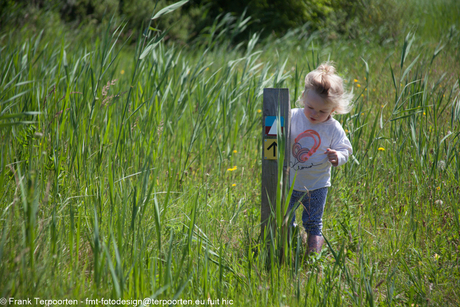 Kind in gras