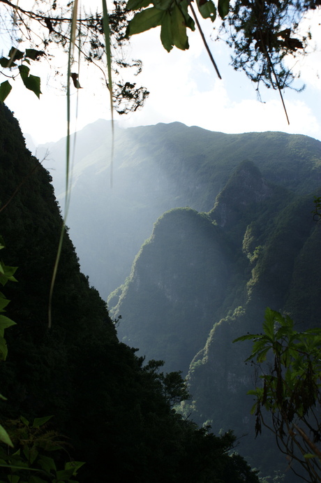 Natuur Madeira