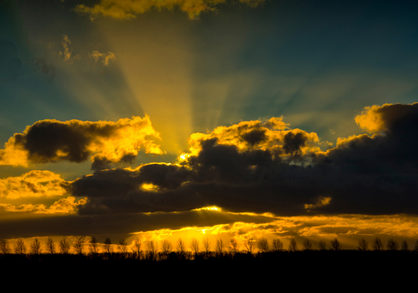 Licht-Show in de Polder