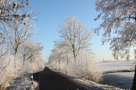 Winters plaatje