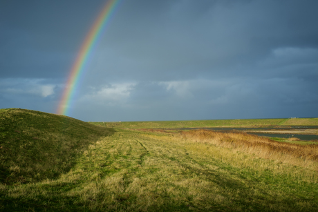 Clear Rainbow