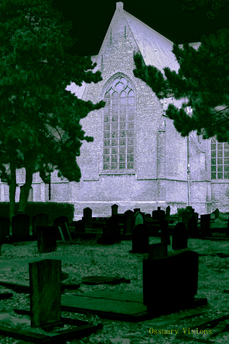 In het licht van het gesternte