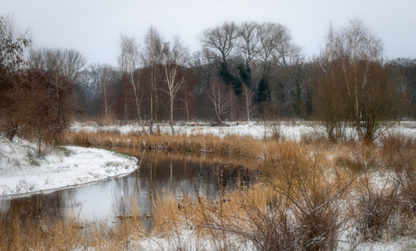 Tungelroyse Beek 