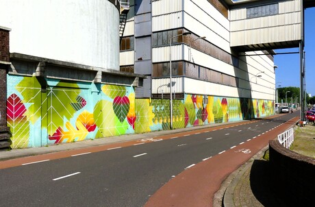 P1280765   Rondje  DELFT nr4   Street art  op Muur  DSM gebouw   12 juni 2025  