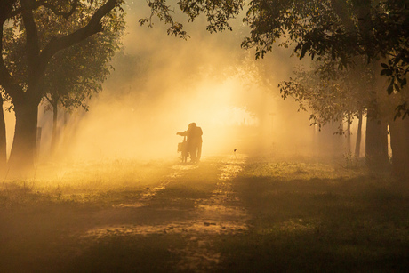 The golden morning