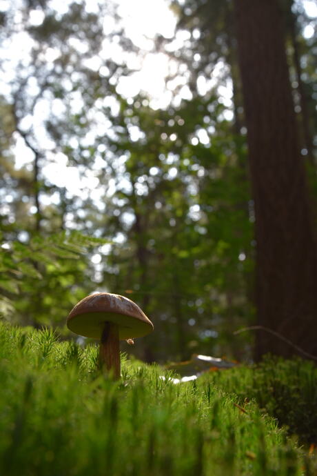 Herfst 9/9/21 