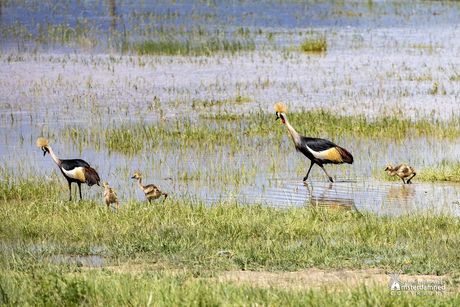 Lake Manyara National Park