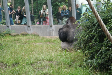 Ouwehands Dierenpark