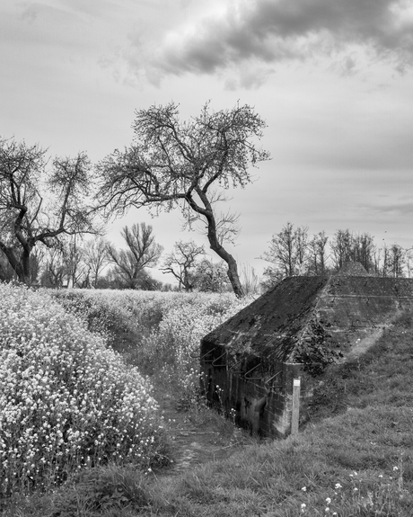 Werk aan de Groeneweg