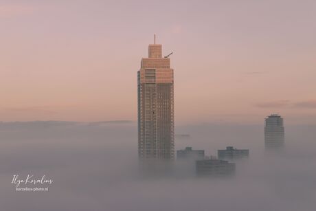 Wolkenkrabbers in de mist.