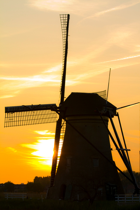 Kinderdijk