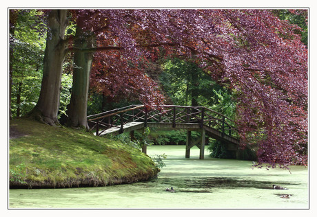 Park Vijversburg bij Leeuwarden