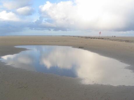 Texel