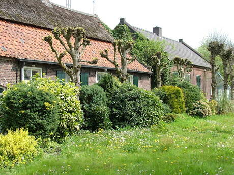 Boerderij