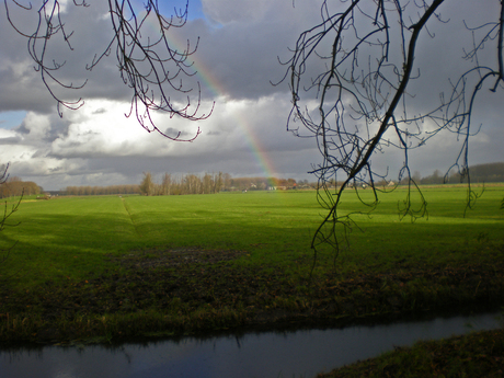 regenboog