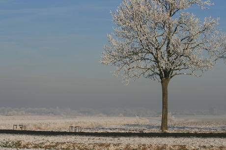 Winter 2007 2