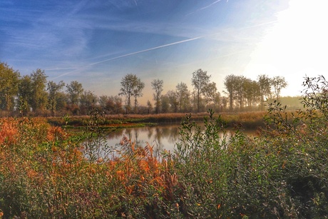 20181017095942_IMG_0096-01