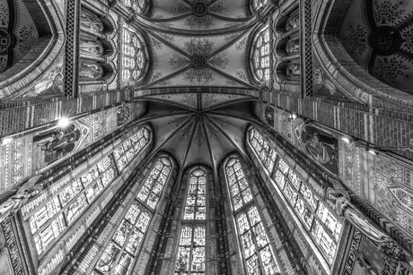 Liduina Basiliek Schiedam 