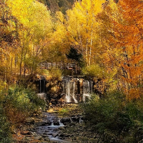 Herfstkleuren 