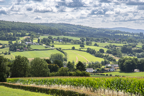 Heuvel landschap Zuid-Limburg