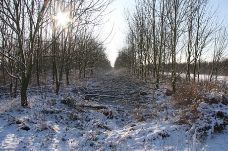 nabij krimpen ad ijssel