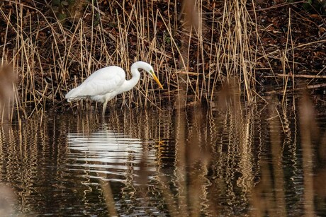 Op zoek naar wat lekkers