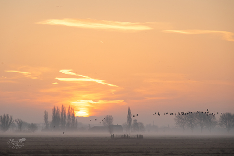 Zonsopkomst in de polder