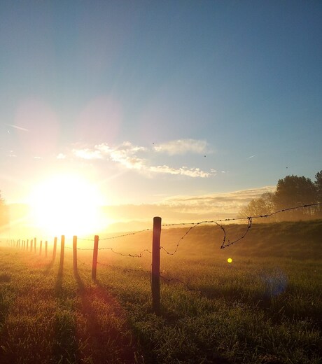 Begin de dag met een..