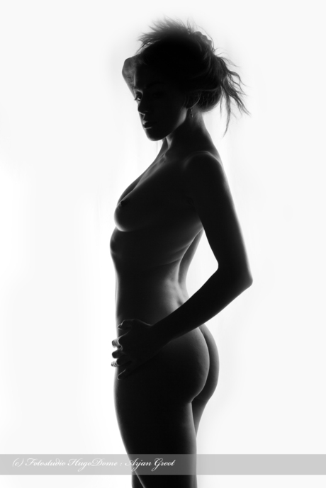 Artistic nude silhouet