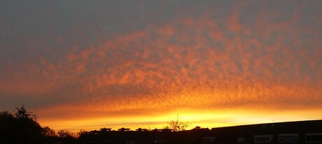 P1040526 Goedenmorgen Naaldwijk snel pano 20 okt 2018