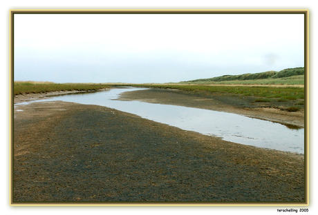 Cupido polder