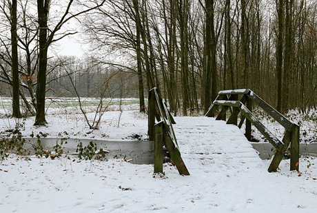 eindelijk weer wat sneeuw in nederland
