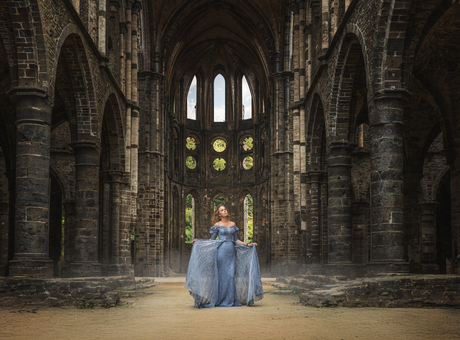 The lady in a blue gown