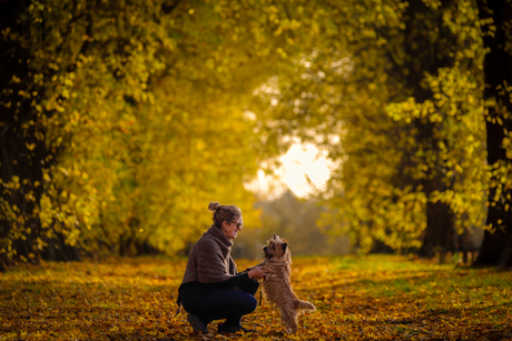 Herfst