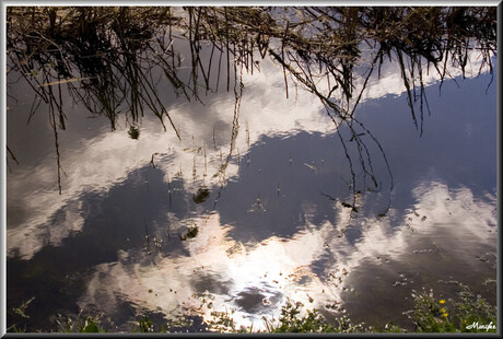 Reflection III: The Clouds