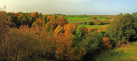 Herfst in het Jekerdal