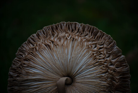 Topzwaar maar prachtig! 