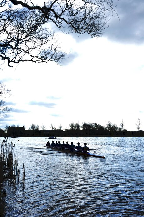 Roeien op de Amstel