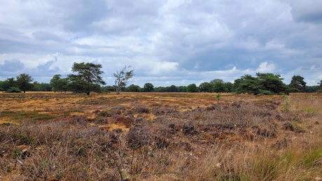 Bakkeveen.