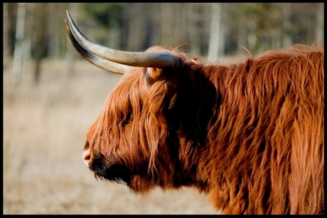 Deze kant ben ik het mooist