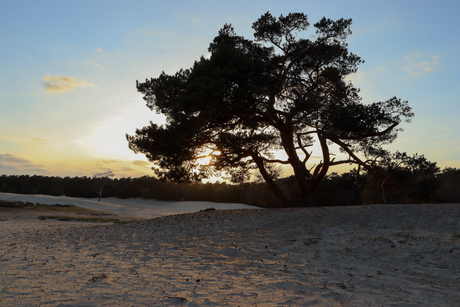 Zonsondergang in Soesterduinen