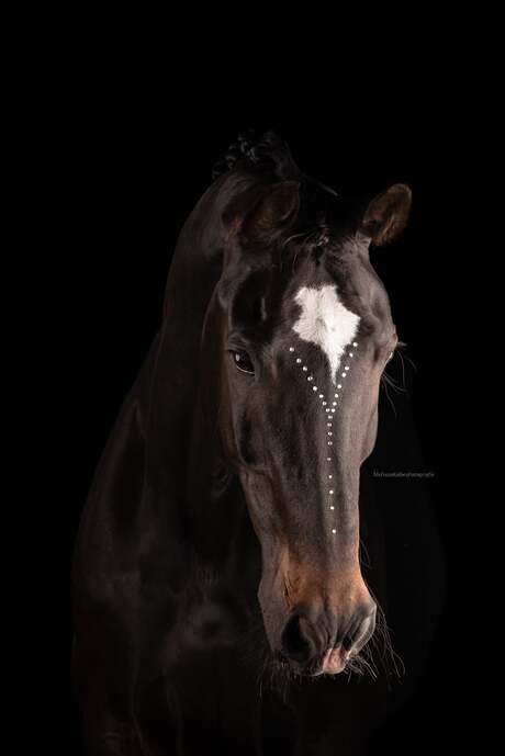 studio fotografie